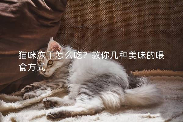 猫咪冻干怎么吃？教你几种美味的喂食方式
