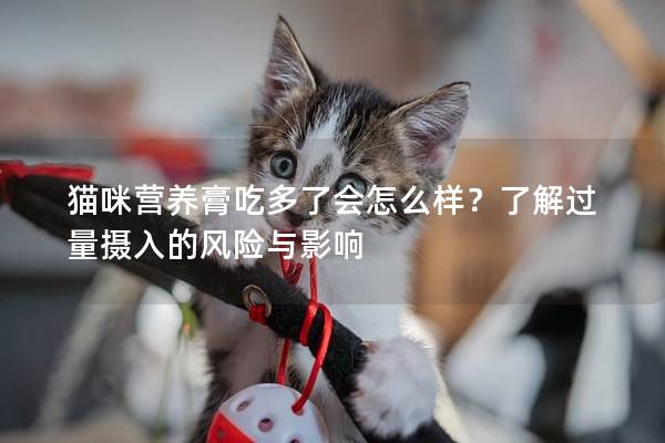 猫咪营养膏吃多了会怎么样？了解过量摄入的风险与影响