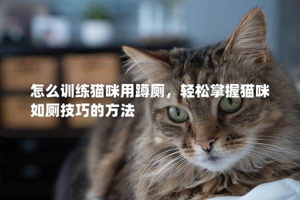 怎么训练猫咪用蹲厕，轻松掌握猫咪如厕技巧的方法