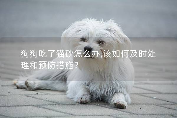 狗狗吃了猫砂怎么办,该如何及时处理和预防措施？