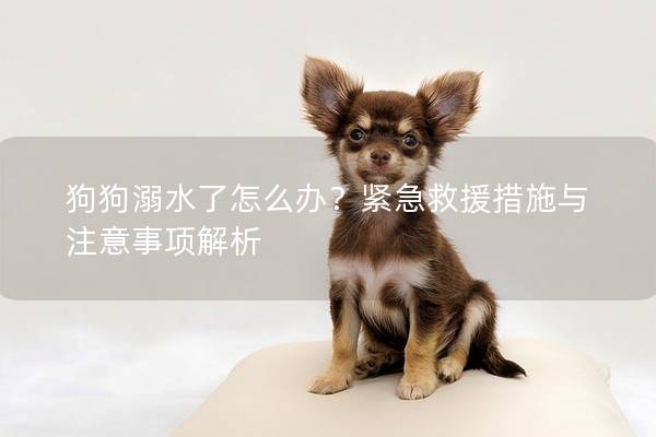 狗狗溺水了怎么办？紧急救援措施与注意事项解析
