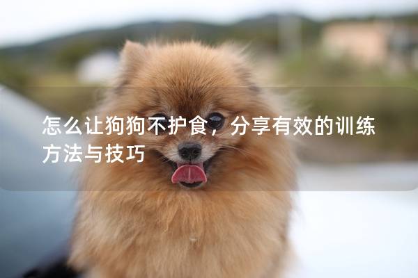 怎么让狗狗不护食，分享有效的训练方法与技巧