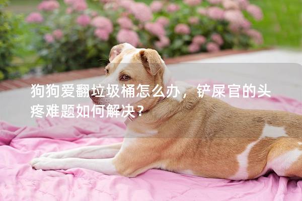 狗狗爱翻垃圾桶怎么办，铲屎官的头疼难题如何解决？