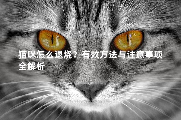 猫咪怎么退烧？有效方法与注意事项全解析