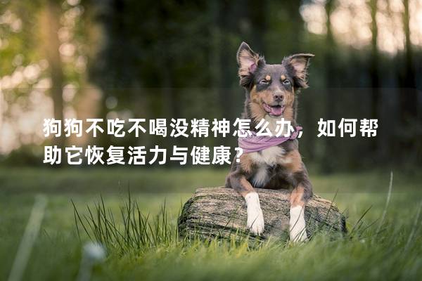 狗狗不吃不喝没精神怎么办，如何帮助它恢复活力与健康？