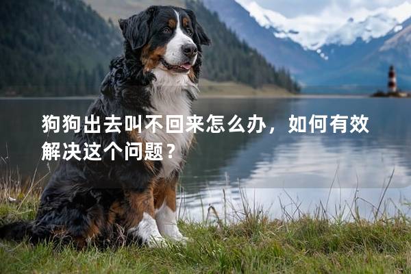狗狗出去叫不回来怎么办，如何有效解决这个问题？
