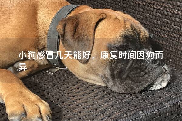 小狗感冒几天能好，康复时间因狗而异