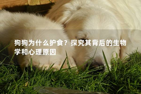 狗狗为什么护食？探究其背后的生物学和心理原因