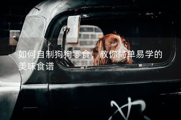 如何自制狗狗零食，教你简单易学的美味食谱