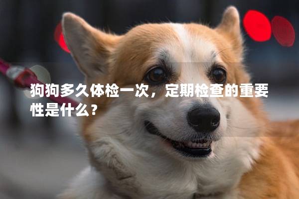 狗狗多久体检一次，定期检查的重要性是什么？