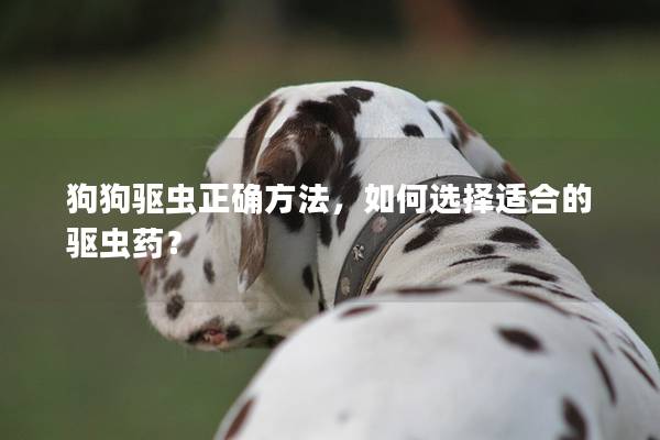 狗狗驱虫正确方法，如何选择适合的驱虫药？