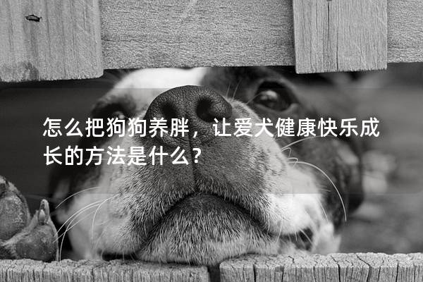 怎么把狗狗养胖，让爱犬健康快乐成长的方法是什么？