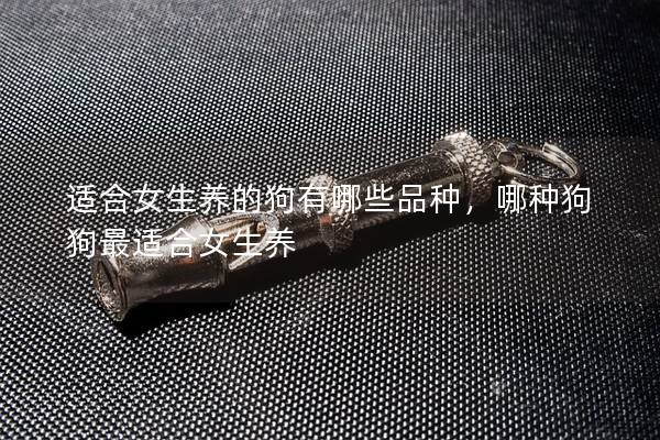 适合女生养的狗有哪些品种，哪种狗狗最适合女生养