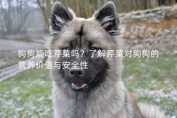 狗狗能吃芹菜吗？了解芹菜对狗狗的营养价值与安全性