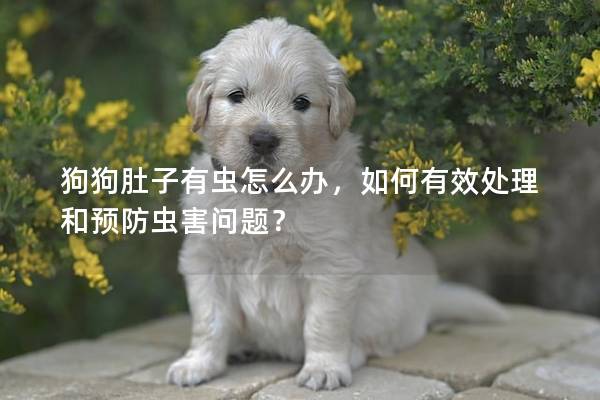 狗狗肚子有虫怎么办，如何有效处理和预防虫害问题？