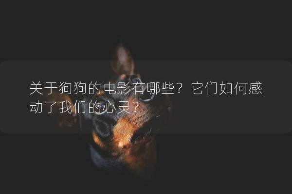 关于狗狗的电影有哪些？它们如何感动了我们的心灵？