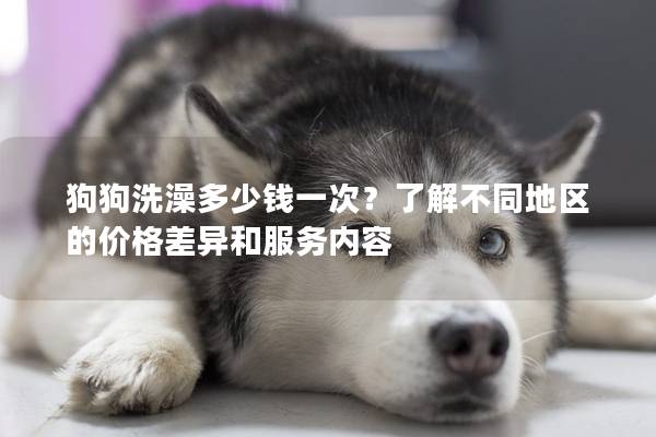 狗狗洗澡多少钱一次？了解不同地区的价格差异和服务内容
