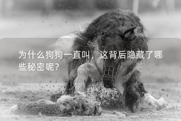 为什么狗狗一直叫，这背后隐藏了哪些秘密呢？