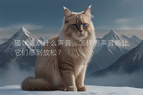 猫咪喜欢什么声音，怎样的声音能让它们感到放松？