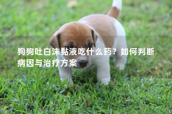 狗狗吐白沫黏液吃什么药？如何判断病因与治疗方案