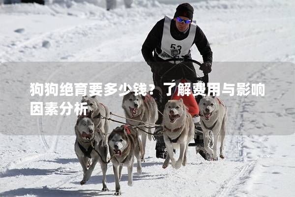 狗狗绝育要多少钱？了解费用与影响因素分析