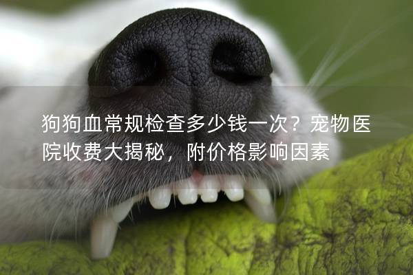 狗狗血常规检查多少钱一次？宠物医院收费大揭秘，附价格影响因素