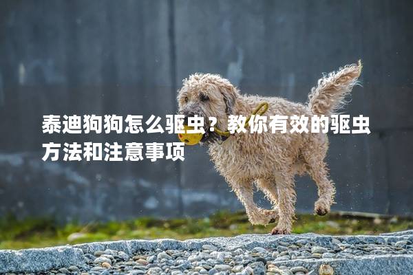 泰迪狗狗怎么驱虫？教你有效的驱虫方法和注意事项