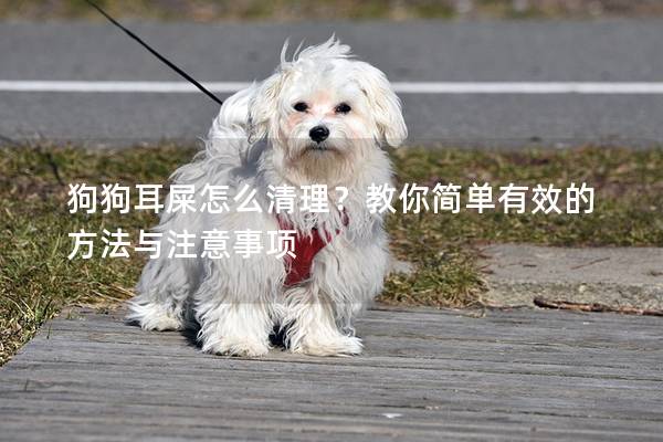 狗狗耳屎怎么清理？教你简单有效的方法与注意事项