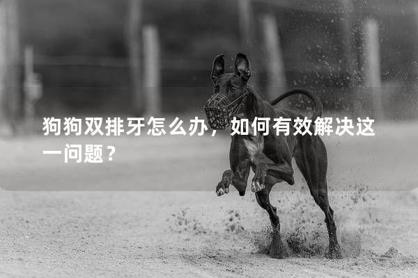 狗狗双排牙怎么办，如何有效解决这一问题？