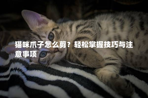 猫咪爪子怎么剪？轻松掌握技巧与注意事项