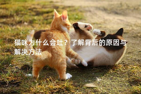猫咪为什么会吐？了解背后的原因与解决方法