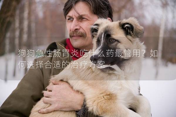 狗狗急性肠胃炎吃什么药最管用？如何选择合适的治疗方案