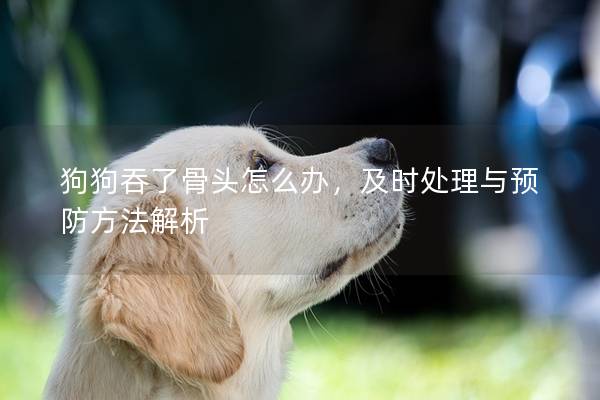 狗狗吞了骨头怎么办，及时处理与预防方法解析