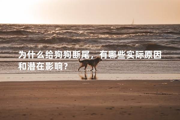 为什么给狗狗断尾，有哪些实际原因和潜在影响？