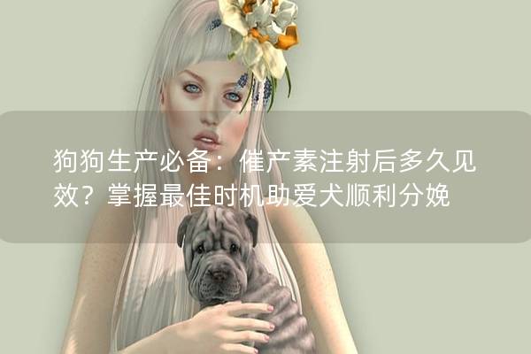 狗狗生产必备：催产素注射后多久见效？掌握最佳时机助爱犬顺利分娩