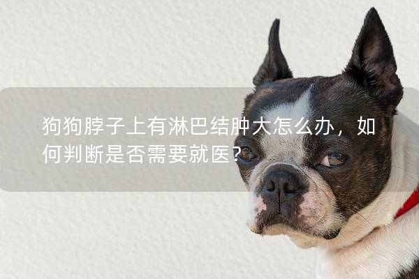 狗狗脖子上有淋巴结肿大怎么办，如何判断是否需要就医？