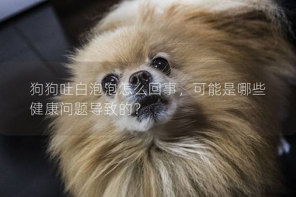 狗狗吐白泡泡怎么回事，可能是哪些健康问题导致的？