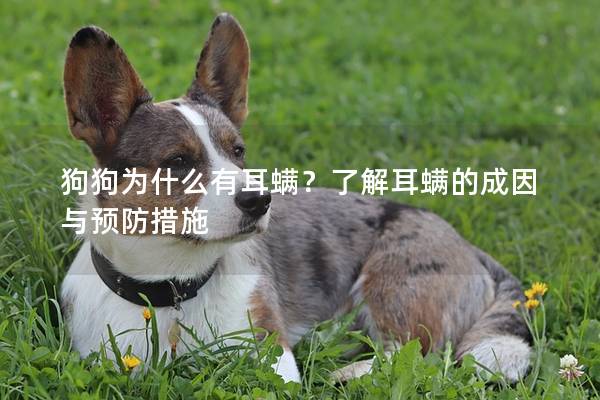 狗狗为什么有耳螨？了解耳螨的成因与预防措施