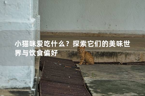 小猫咪爱吃什么？探索它们的美味世界与饮食偏好