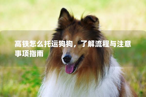 高铁怎么托运狗狗，了解流程与注意事项指南
