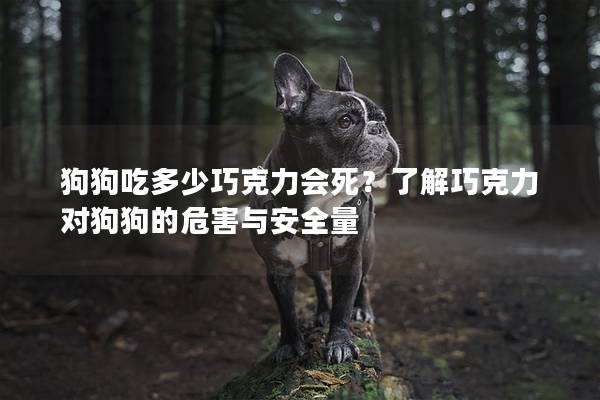 狗狗吃多少巧克力会死？了解巧克力对狗狗的危害与安全量