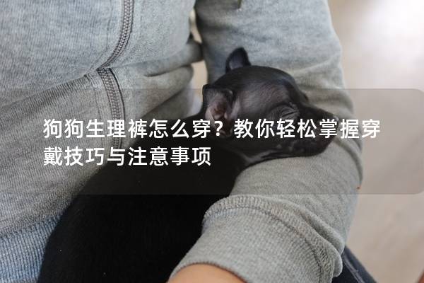 狗狗生理裤怎么穿？教你轻松掌握穿戴技巧与注意事项