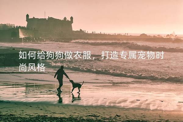 如何给狗狗做衣服，打造专属宠物时尚风格