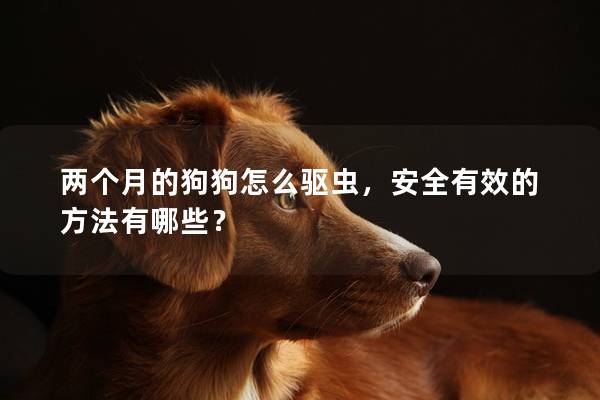 两个月的狗狗怎么驱虫，安全有效的方法有哪些？