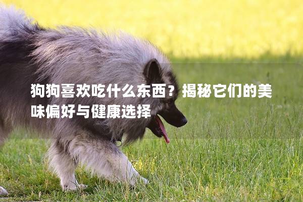 狗狗喜欢吃什么东西？揭秘它们的美味偏好与健康选择