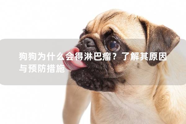 狗狗为什么会得淋巴瘤？了解其原因与预防措施