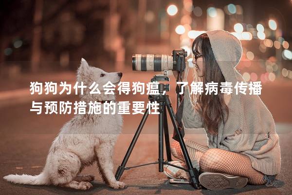 狗狗为什么会得狗瘟，了解病毒传播与预防措施的重要性