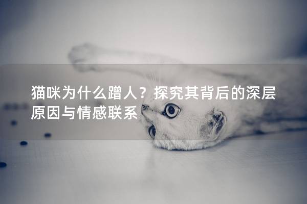 猫咪为什么蹭人？探究其背后的深层原因与情感联系