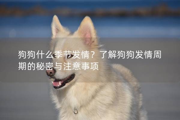狗狗什么季节发情？了解狗狗发情周期的秘密与注意事项