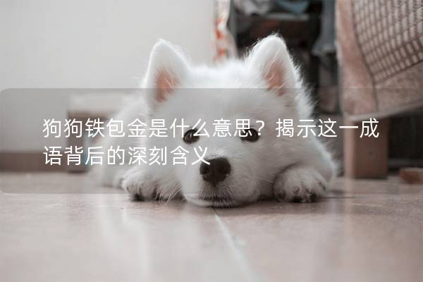 狗狗铁包金是什么意思？揭示这一成语背后的深刻含义